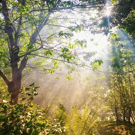 Casa En El Verde Valle Sama Zewnętrze zdjęcie