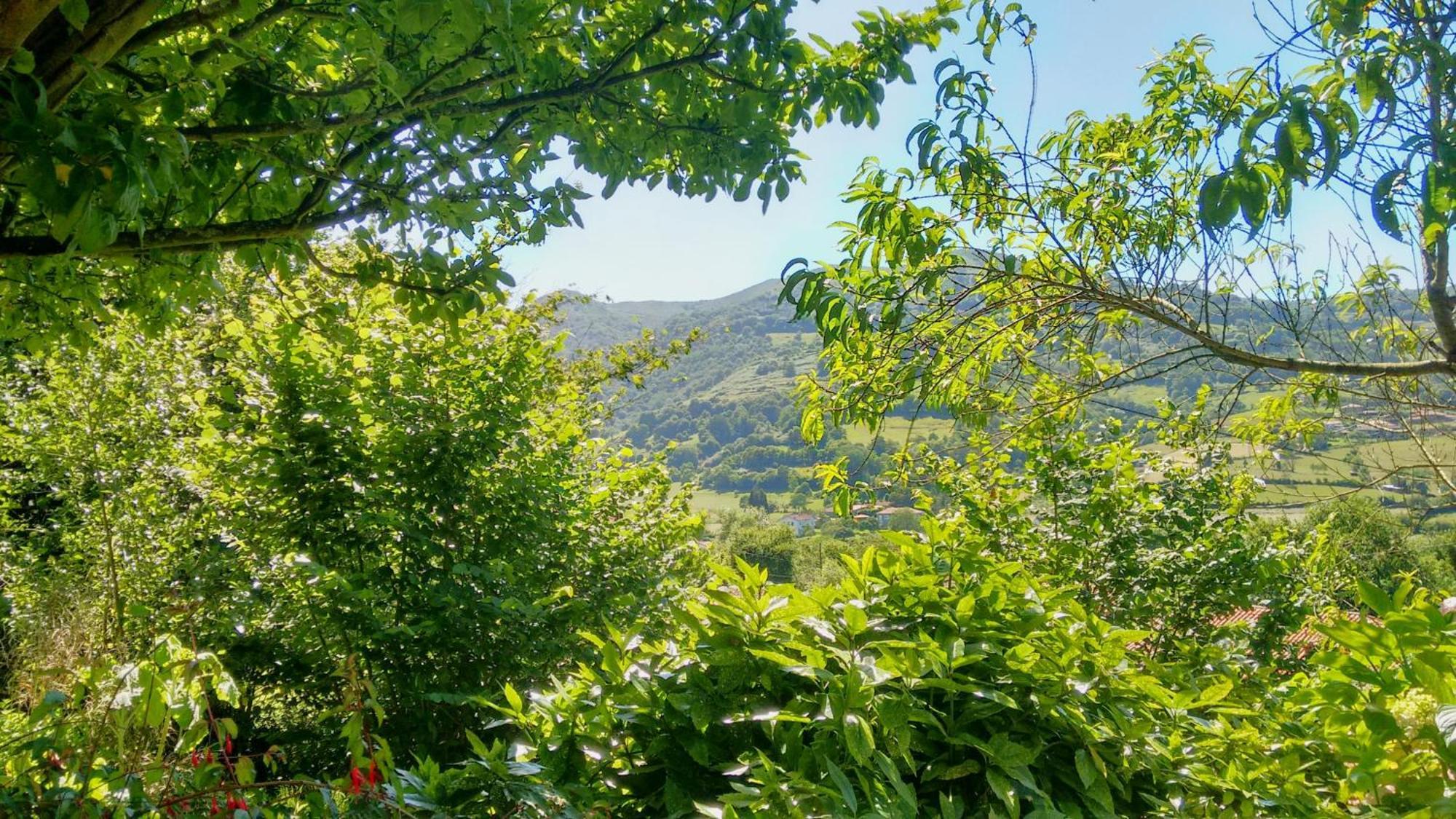 Casa En El Valle Sama