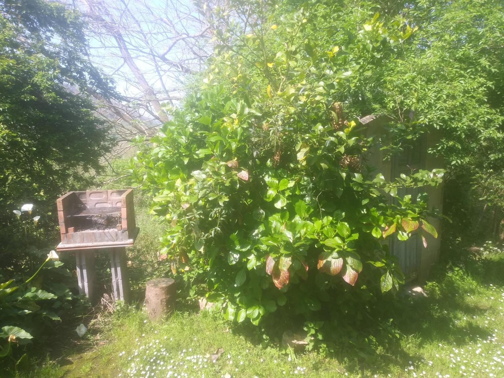 Casa En El Valle * Sama